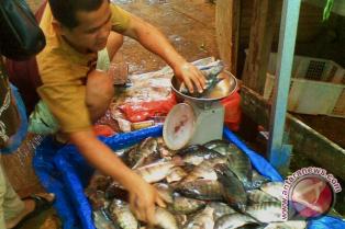  Tugumulyo penghasilan ikan air tawar di Mura